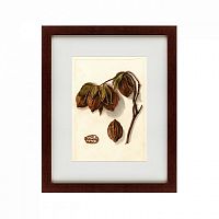 картина: watercolor collection, drawing №3, 1909 в Чите
