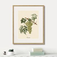 картина juicy fruit lithography №13, 1870 г., 42х52 см в Чите