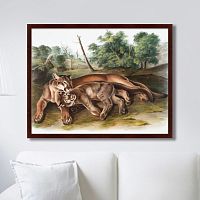 картина: the cougar, 1850г. в Чите
