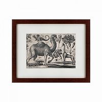 картина: a camel, 1670 в Чите