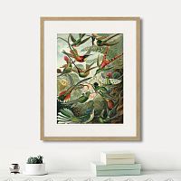 картина: art forms of nature №1, 1897г. в Чите