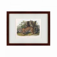 картина: jaguar, 1841 в Чите