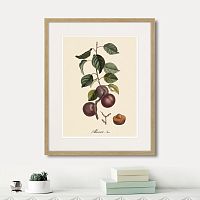 картина: juicy fruit lithography №6, 1870г. в Чите