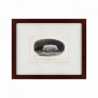 картина: a prize boar, 1867 в Чите