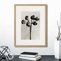 картина: botanical philosophy of forms №4, 1912г. в Чите