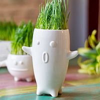 ваза eco тиль в Чите