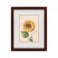 картина: watercolor over pencil etude №3, 1750 в Чите