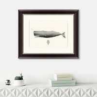 картина: sperm whale (physeter macrocephalus), 1862 в Чите