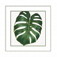 постер monstera зеленый в Чите