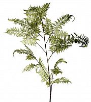 декор fl12056 (giant fern) в Чите