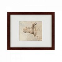 картина: the head of a rhinoceros, 1889 в Чите