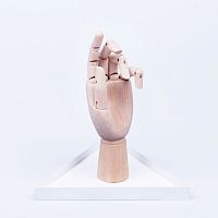 органайзер для украшений the hand белый в Чите