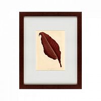 картина: the dark red leaf, 1881 в Чите