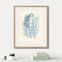 картина: fragmenta botanica №8, 1809г. в Чите