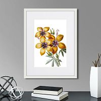 картина: caribian flora yellow hibiscus, 1740г. в Чите