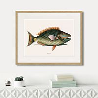 картина: marine life №5, 1725г. в Чите