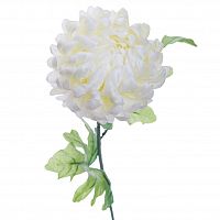 хризантема белая 63 см (24) в Чите