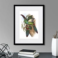 картина: toucans №5, 1849г. в Чите