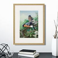 картина: bullfinches, 1915г. в Чите