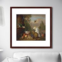 картина: a cockatoo, a parrot, a jay and other birds, 1715г. в Чите