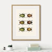 картина: assorted beetles №11, 1735г. в Чите