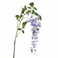 глициния сиреневая 142 см (18) в Чите