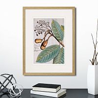 картина: exotic plants of the world №5, 1815 (i) в Чите