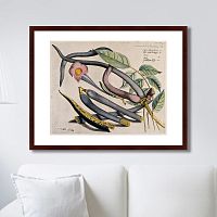 картина: exotic plants of the world №12, 1815г. в Чите