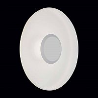 уличный настенный светодиодный светильник st luce sl925.501.01 в Чите