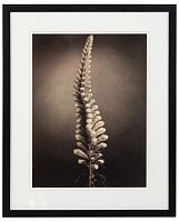 постер с паспарту в раме gentle sepia ver. 5 в Чите