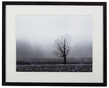 постер с паспарту в раме fog & tree в Чите