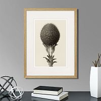 картина: botanical philosophy of forms №6, 1912г. в Чите