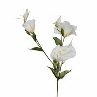 лизиантус белый 78 см (36) в Чите