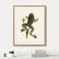 картина: big jumping frog, 1745г. в Чите