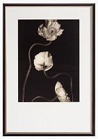постер с паспарту в раме gentle sepia ver. 3 в Чите