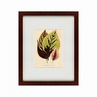 картина: les plantes a feuillage color, 1869 в Чите