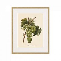 картина juicy fruit lithography №13-1, 1870 г., 42х52 см в Чите