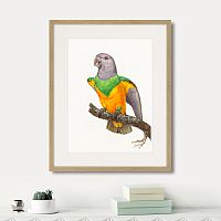 картина: beautiful parrots №8, 1872г. в Чите
