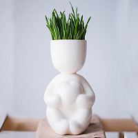 набор для выращивания eco романтик в Чите
