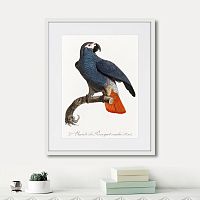 картина: beautiful parrots №5, 1872г. в Чите