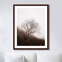картина: lonely wood в Чите