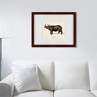 картина: rhinoceros ancienne gravure, 1849 в Чите