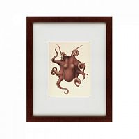 картина: pacific octopus, 1731 в Чите