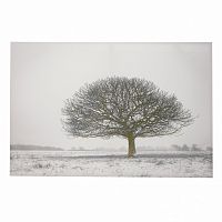 принт wood на подрамнике в Чите