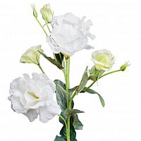 лизиантус белый 77 см (12) в Чите