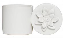 шкатулка для украшений white i в Чите