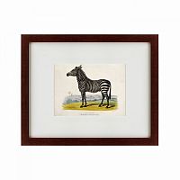 картина: a zebra, 1830 в Чите