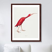картина: scarlet ibis, 1827г. в Чите
