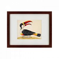 картина: white-throated toucan, 1716 в Чите