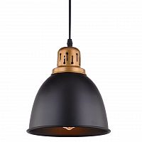 подвесной светильник arte lamp eurica a4245sp-1bk в Чите